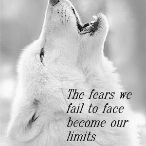 Meet your Posher, Marilyn